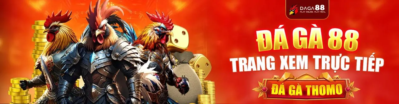 Đá gà trực tuyến 888now chính thức